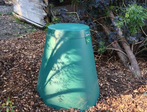Project innovation for good environmental outcomes